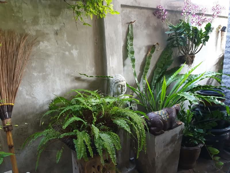 4-BR Townhouse, Bangkok, Phra Kanong Nua, Watthana, Bangkok, 4 Bedrooms, 400 sqm, Townhouse For Rent, by Vichai  Annavakulthorn, 500269809 - DDproperty.com