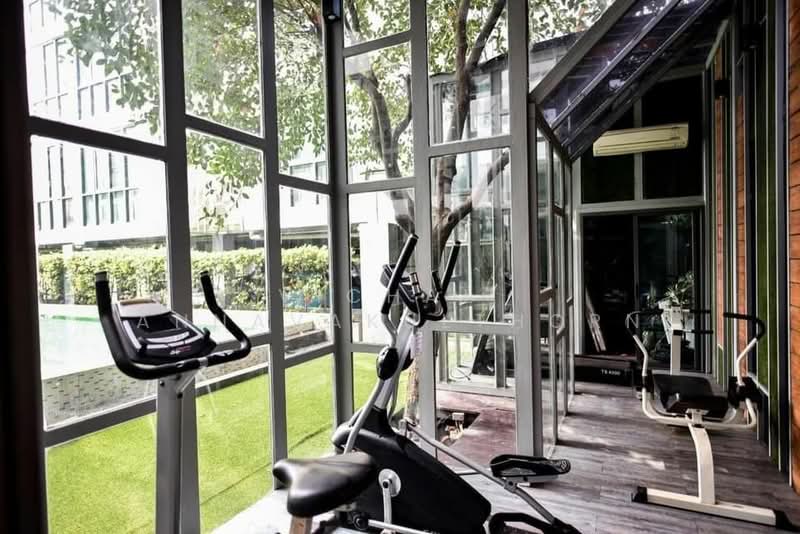 Qube Suites Sukhumvit 46, Bangkok, 30 Sukhumvit Road, Phra Kanong, Khlong Toei, Bangkok, 2 Bedrooms, 60 sqm, Condo For Rent, by Vichai  Annavakulthorn, 500269969 - DDproperty.com