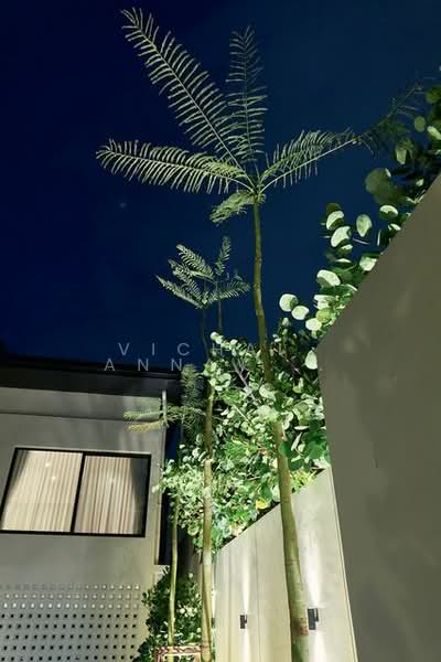 4-BR House, Bangkok, Khlong Tan Nua, Watthana, Bangkok, 4 Bedrooms, 430 sqm, Single Detached House For Rent, by Vichai  Annavakulthorn, 500270039 - DDproperty.com