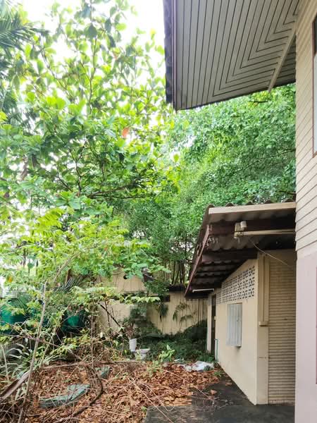 ขายบ้านพร้อมที่ดิน 453 ตรว.ติดถนนหลัก-คลองบางน้ำผึ้งสำหรับ Wellness, บ้านเกษียณ, สมุทรปราการ, บางกะเจ้า, พระประแดง, สมุทรปราการ, 1,812 ตร.ม., ที่ดิน ขาย, โดย แว่นกลม ที่ปรึกษาอสังหาฝั่งธนฯ, 500270115 - DDproperty.com