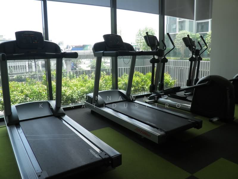 IDEO MOBI Sukhumvit 81, Bangkok, 2097 Sukhumvit Road, Bang Chak, Phra Khanong, Bangkok, 1 Bedroom, 25 sqm, Condo For Rent, by Najawa Salae, 500270391 - DDproperty.com