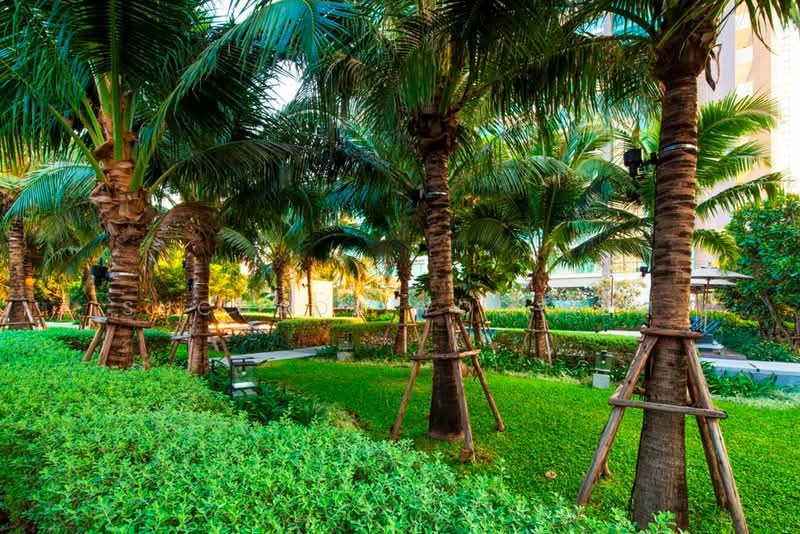 The River by Raimon Land, Bangkok, Soi Charoen Nakorn 13, Charoen Nakorn Road, Khlong Ton Sai, Khlong San, Bangkok, 2 Bedrooms, 108 sqm, Condo For Sale, by Suchada Yodyiem, 500270413 - DDproperty.com