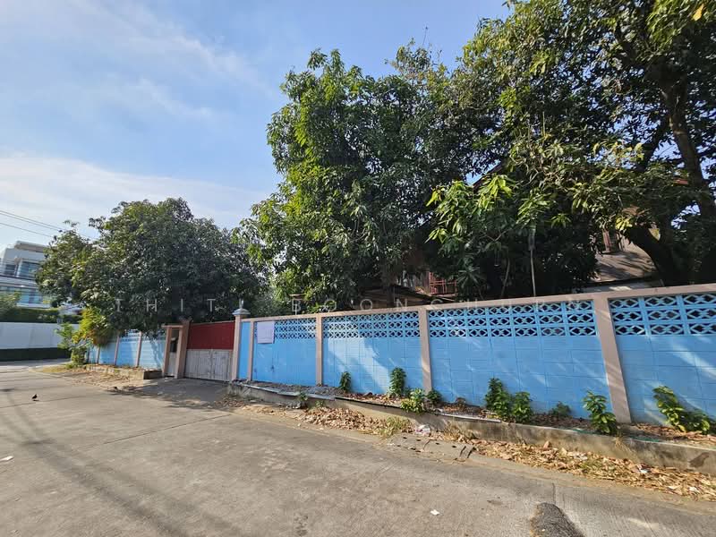 บ้านเดี่ยว 202 สแควร์ วาห์ ปุณณวิถี, กรุงเทพ, บางจาก, พระโขนง, กรุงเทพ, 800 ตร.ม., บ้านเดี่ยว ให้เช่า, โดย Thiti Boonchurn, 500270572 - DDproperty.com