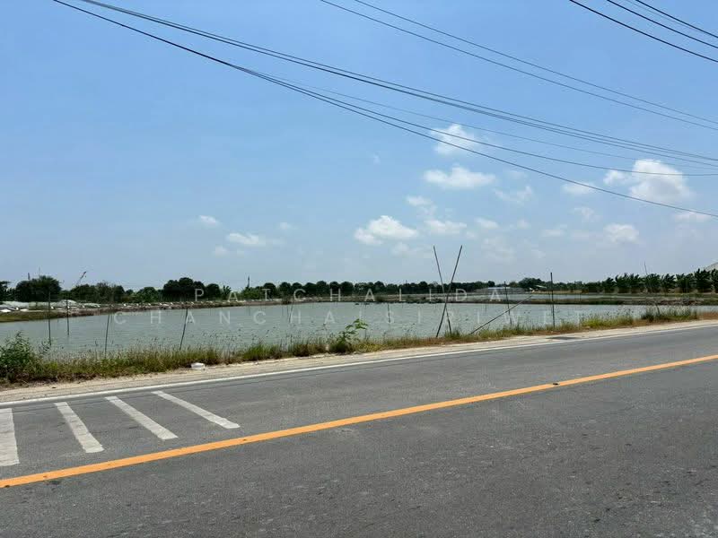 ขายที่ดินอุตสาหกรรม บางพลี สมุทรปราการ, สมุทรปราการ, บางปลา, บางพลี, สมุทรปราการ, 16,000 ตร.ม., ที่ดิน ขาย, โดย Patchalida Chanchaisiriwet, 500270631 - DDproperty.com