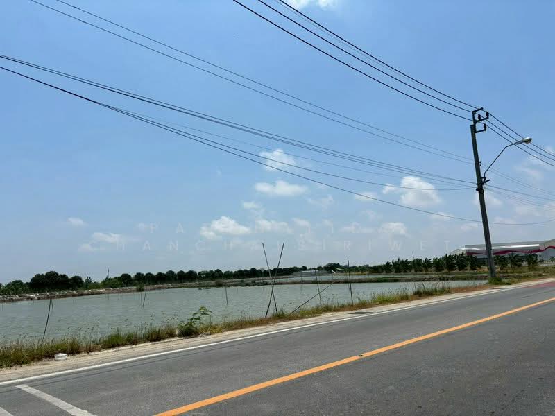 Industrial Land for Sale in Bang Phli, Samut Prakan, Samut Prakan, Bang Pla, Bang Plee, Samut Prakan, , 16,000 sqm, Land For Sale, by Patchalida Chanchaisiriwet, 500270631 - DDproperty.com