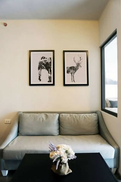 IDEO Sukhumvit 93, Bangkok, 2331 Soi Sukhumvit 93, Bang Chak, Phra Khanong, Bangkok, 1 Bedroom, 34 sqm, Condo For Rent, by Achaya Nithipanyawong, 500270717 - DDproperty.com