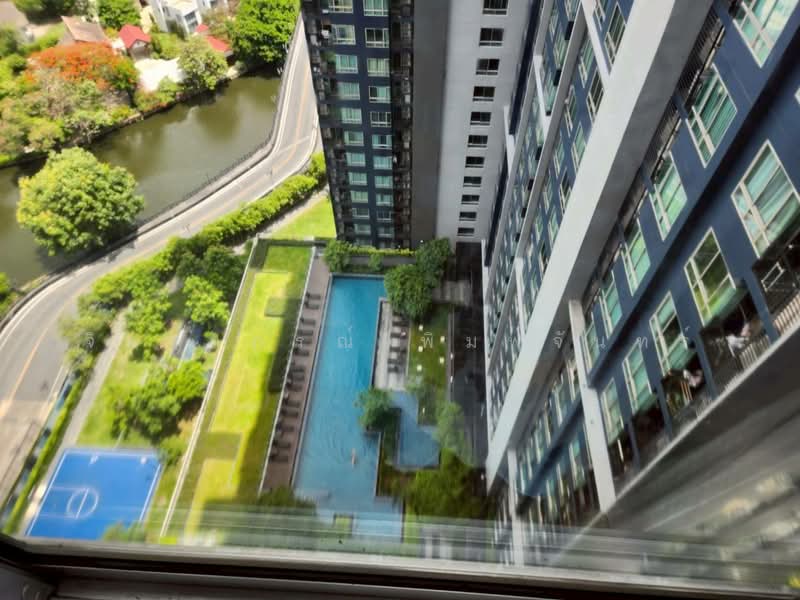 The Base Sukhumvit 77 : เดอะ เบส สุขุมวิท 77, กรุงเทพ, 289 ถนนสุขุมวิท 77, พระโขนงเหนือ, วัฒนา, กรุงเทพ, 31 ตร.ม., คอนโด ให้เช่า, โดย จิตราภรณ์ พิมพ์จันทร์, 500270775 - DDproperty.com