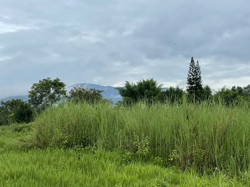 Maerim Prime Land for Sale ขายที่ดินสวย ทำเลดี, เชียงใหม่, ห้วยทราย, แม่ริม, เชียงใหม่, 3,880 ตร.ม., ที่ดิน ขาย, โดย Pornnipa Buddee, 500270837 - DDproperty.com