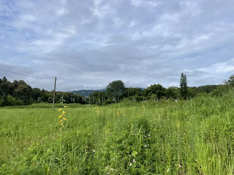 Maerim Prime Land for Sale, Chiang Mai, Huai Sai, Mae Rim, Chiang Mai, , 3,880 sqm, Land For Sale, by Pornnipa Buddee, 500270837 - DDproperty.com