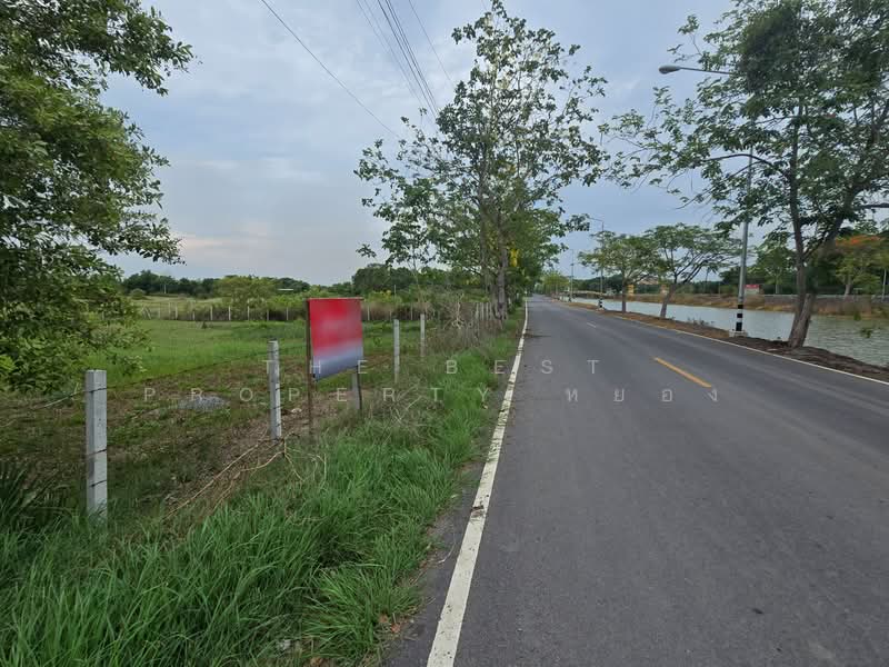 ที่ดินหนองเสือ ปทุมธานี, Pathum Thani, Bung Ba, Nong Sua, Pathum Thani, , 1,308 sqm, Land For Sale, by The Best Property หยอง, 500270844 - DDproperty.com