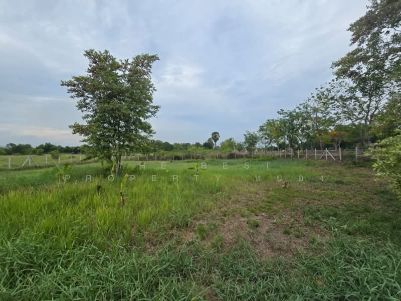 ที่ดินหนองเสือ ปทุมธานี, ปทุมธานี, บึงบา, หนองเสือ, ปทุมธานี, 1,308 ตร.ม., ที่ดิน ขาย, โดย The Best Property หยอง, 500270844 - DDproperty.com