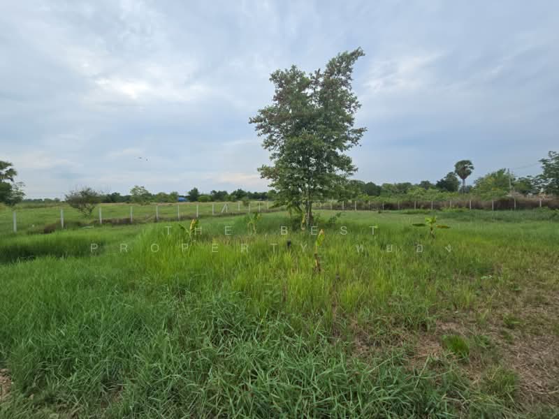 ที่ดินหนองเสือ ปทุมธานี, ปทุมธานี, บึงบา, หนองเสือ, ปทุมธานี, 1,308 ตร.ม., ที่ดิน ขาย, โดย The Best Property หยอง, 500270844 - DDproperty.com