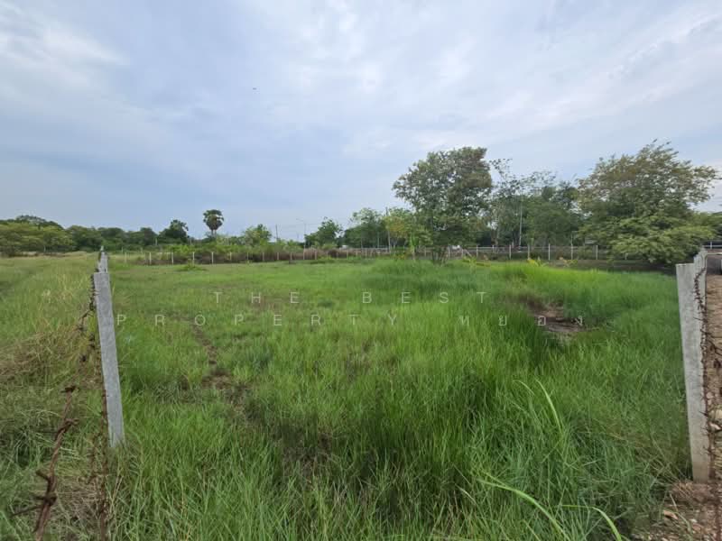 ที่ดินหนองเสือ ปทุมธานี, Pathum Thani, Bung Ba, Nong Sua, Pathum Thani, , 1,308 sqm, Land For Sale, by The Best Property หยอง, 500270844 - DDproperty.com