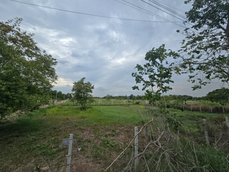 ที่ดินหนองเสือ ปทุมธานี, ปทุมธานี, บึงบา, หนองเสือ, ปทุมธานี, 1,308 ตร.ม., ที่ดิน ขาย, โดย The Best Property หยอง, 500270844 - DDproperty.com
