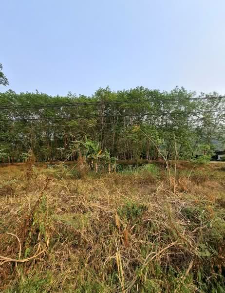 For Sale - ที่ดินขุนตาล เชียงราย, Chiang Rai
