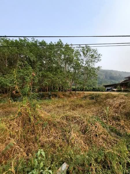 For Sale - ที่ดินขุนตาล เชียงราย, Chiang Rai