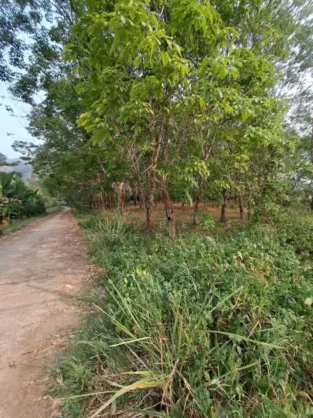 For Sale - ที่ดินขุนตาล เชียงราย, Chiang Rai