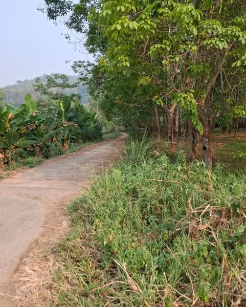 For Sale - ที่ดินขุนตาล เชียงราย, Chiang Rai