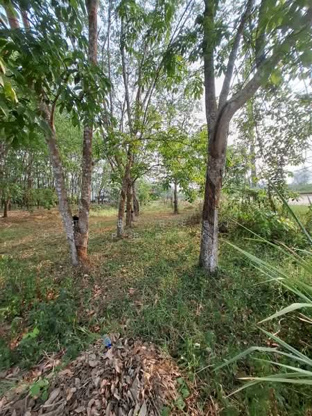 For Sale - ที่ดินขุนตาล เชียงราย, Chiang Rai