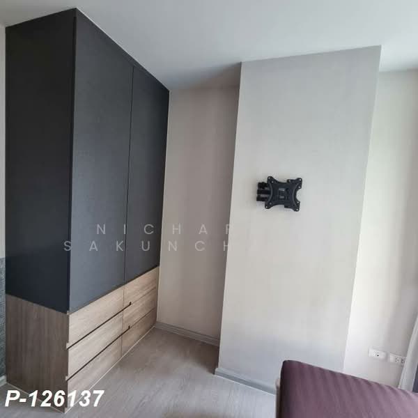 Aspen Condo Lasalle, Bangkok, Soi Sukhumvit 105 (Lasalle), Bang Na, Bang Na, Bangkok, 1 Bedroom, 35 sqm, Condo For Rent, by Nichaphat Sakunchayapha, 500270846 - DDproperty.com
