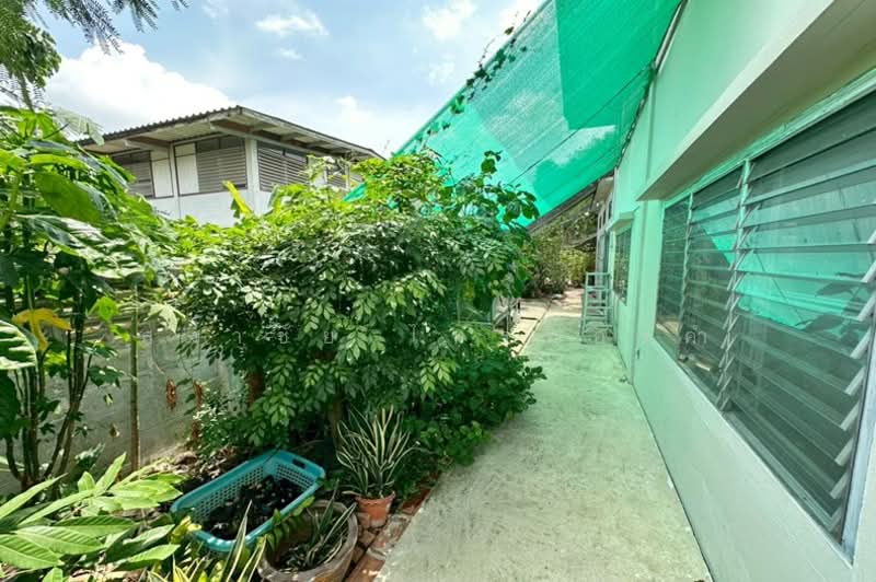 หมู่บ้านมิตรภาพ 1 อ่อนนุช 46 แยก 9, Bangkok, Bang Chak, Phra Khanong, Bangkok, 3 Bedrooms, 240 sqm, Single Detached House For Sale, by สง่าชัย ไทรทองคำ, 500270900 - DDproperty.com