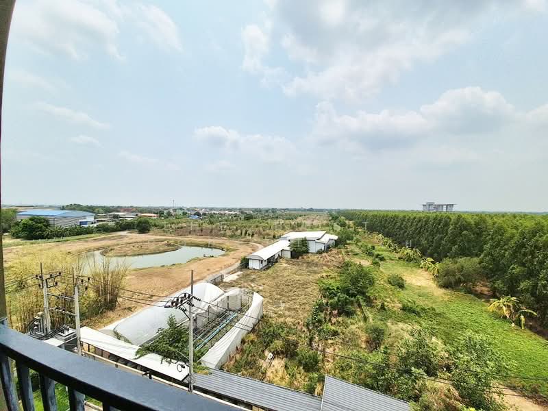 พลัมคอนโด รังสิต อไลฟ์(Plum Condo Rangsit Alive), ปทุมธานี, Phaholyothin Khlong Nueng, คลองหนึ่ง, คลองหลวง, ปทุมธานี, 27 ตร.ม., คอนโด ขาย, โดย The Best Property โย, 500270918 - DDproperty.com