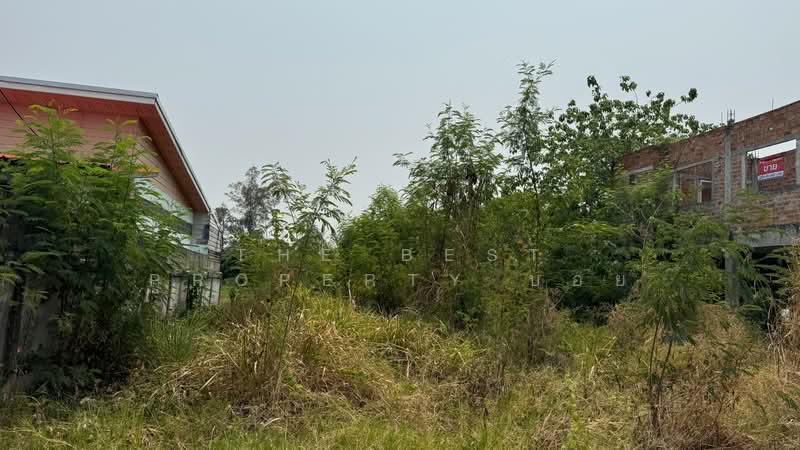 ขาย - ที่ดินพร้อมสิ่งปลูกสร้างหางดง เชียงใหม่, เชียงใหม่