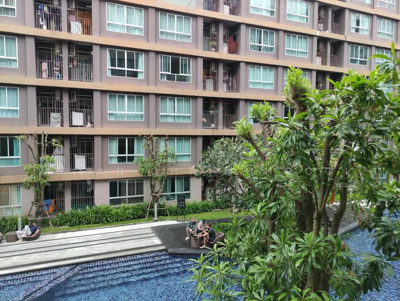 Dcondo Creek Phuket, Phuket, 81 Moo 2, Kathu, Kathu, Phuket, Studio, 30 sqm, Condo For Sale, by Wasan Chaimongcol, 500270943 - DDproperty.com