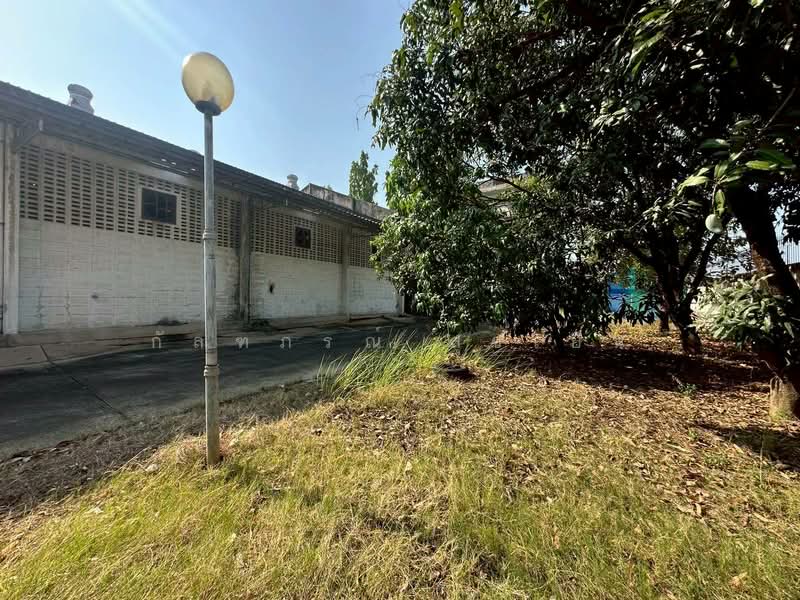 ที่ดินพร้อมสิ่งปลูกสร้าง ซอยเพชรเกษม 41, Bangkok, Bang Khae, Bang Khae, Bangkok, , 1,000 sqm, Warehouse/Factory For Sale, by กัลฑภรณ์ สุขเย็น, 500270974 - DDproperty.com
