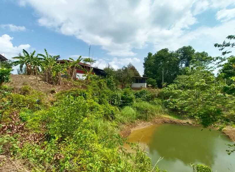 บ้านเดี่ยวพร้อมที่ดินแหลมงอบ ตราด, ตราด, คลองใหญ่, แหลมงอบ, ตราด, 100 ตร.ม., บ้านเดี่ยว ขาย, โดย The Best Property เบิ้ม, 500270981 - DDproperty.com