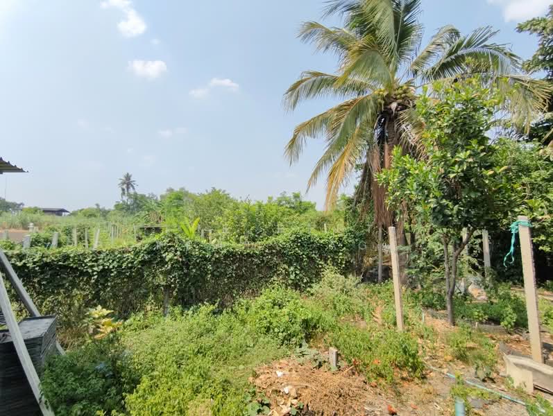 บ้านเดี่ยวท่ามะกา กาญจนบุรี, Kanchanaburi, Tha Mai, Tha Maka, Kanchanaburi, 4 Bedrooms, 100 sqm, Single Detached House For Sale, by The Best Property Agent โอ็ต, 500270989 - DDproperty.com