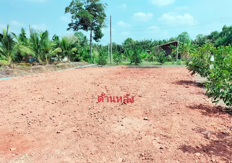 ที่ดินพร้อมสิ่งปลูกสร้างนางตะเคียน สมุทรสงคราม, สมุทรสงคราม, นางตะเคียน, เมืองสมุทรสงคราม, สมุทรสงคราม, 860 ตร.ม., ที่ดิน ขาย, โดย The Best Property มนต์, 500271007 - DDproperty.com