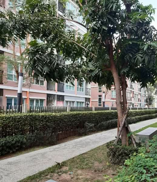 The Miami Bangpu, Samut Prakan, Soi Thetsaban Bang Pu 72, Tai Ban, Muang Samut Prakarn, Samut Prakan, 1 Bedroom, 25 sqm, Condo For Sale, by The Best Property ชุ, 500271018 - DDproperty.com