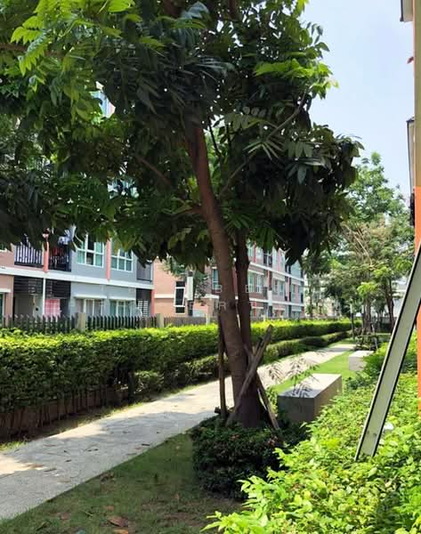 The Miami Bangpu, Samut Prakan, Soi Thetsaban Bang Pu 72, Tai Ban, Muang Samut Prakarn, Samut Prakan, 1 Bedroom, 25 sqm, Condo For Sale, by The Best Property ชุ, 500271018 - DDproperty.com
