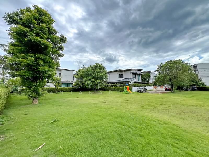 3-Bedroom House for Rent in San Khong Luang, Rob Wiang, Chiang Rai – Only 5 Minutes to City Center (, Chiang Rai, Rob Wieng, Muang Chiang Rai, Chiang Rai, 3 Bedrooms, 120 sqm, Townhouse For Rent, by Kaekwun Kanjanapungka, 500271027 - DDproperty.com