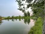 ที่ดินหนองแซง สระบุรี, สระบุรี