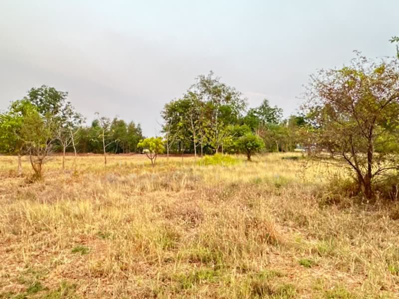 ขาย - ที่ดินหนองแซง สระบุรี, สระบุรี