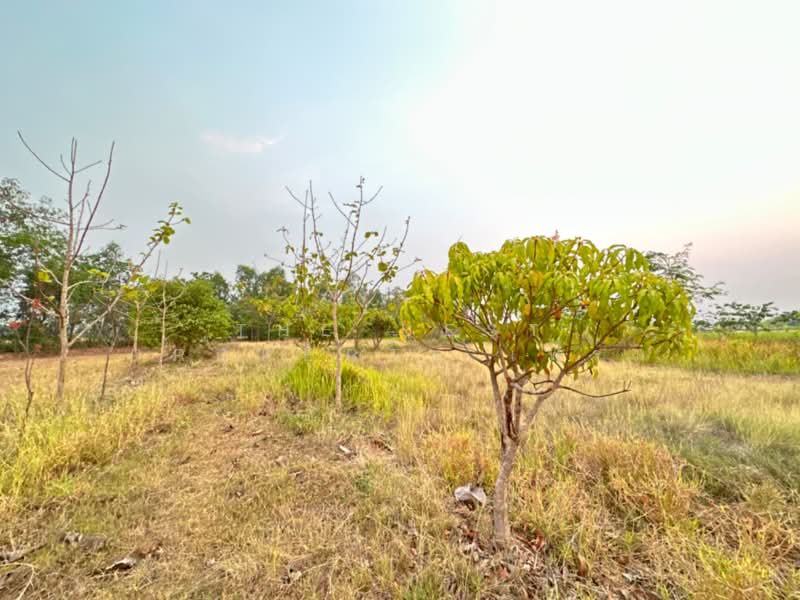 ขาย - ที่ดินหนองแซง สระบุรี, สระบุรี