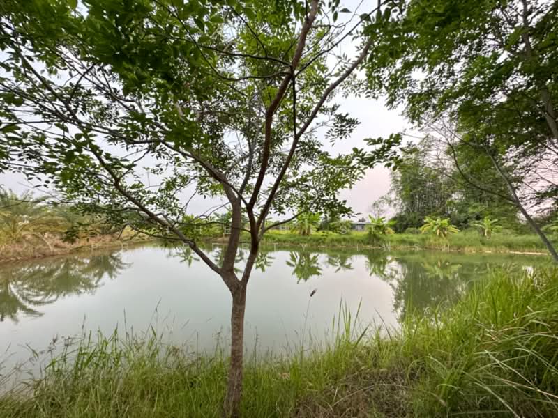 ขาย - ที่ดินหนองแซง สระบุรี, สระบุรี