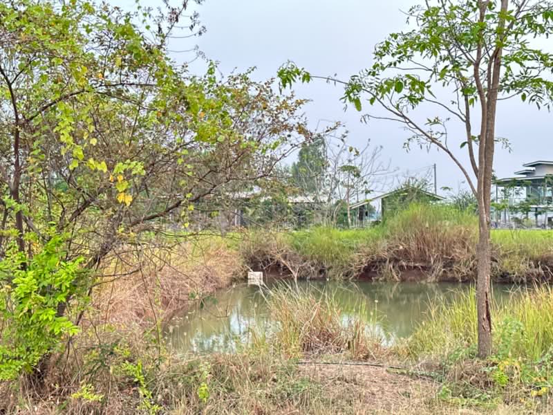ที่ดินหนองแซง สระบุรี, Saraburi, Nong Kop, Nong-Saeng, Saraburi, , 8,000 sqm, Land For Sale, by The Best Property เฟรม, 500271031 - DDproperty.com