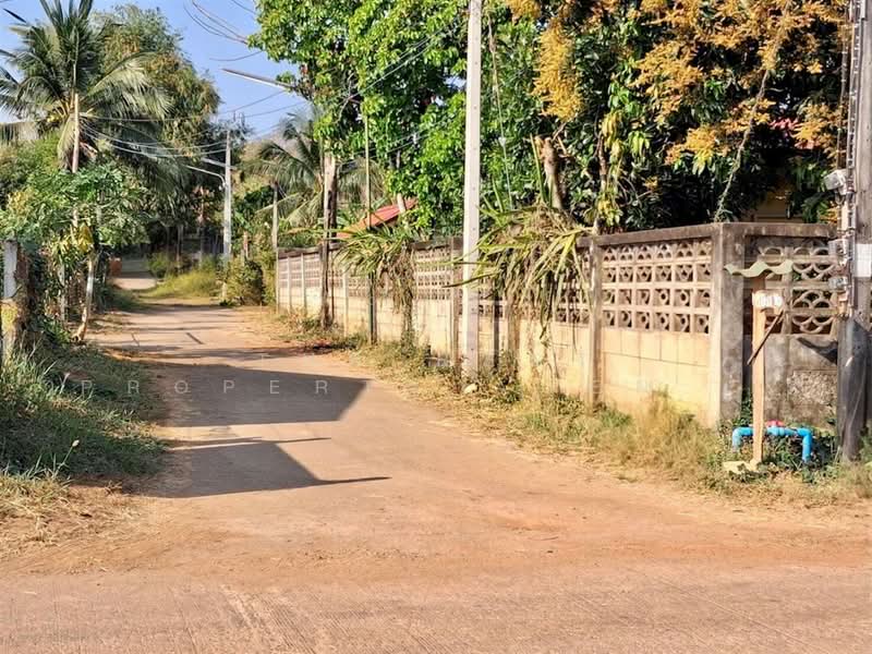 ขายที่ดิน เนื้อที่ 2 งาน ท่าเสา อุตรดิตถ์, อุตรดิตถ์, ท่าเสา, เมืองอุตรดิตถ์, อุตรดิตถ์, 800 ตร.ม., ที่ดิน ขาย, โดย The Best Property Agent เล็ก, 500271039 - DDproperty.com