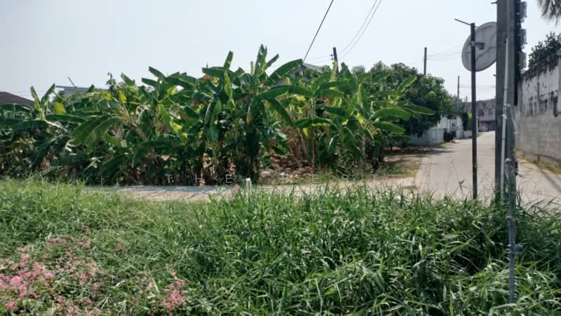 ที่ดินบ้านคลอง พิษณุโลก, Phitsanulok, Ban Khlong, Muang Phitsanulok, Phitsanulok, , 1,564 sqm, Land For Sale, by The Best Property ณิชา, 500271046 - DDproperty.com