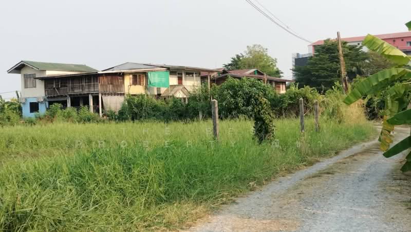 ที่ดินบ้านคลอง พิษณุโลก, Phitsanulok, Ban Khlong, Muang Phitsanulok, Phitsanulok, , 1,564 sqm, Land For Sale, by The Best Property ณิชา, 500271046 - DDproperty.com