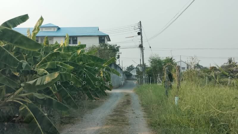 ที่ดินบ้านคลอง พิษณุโลก, พิษณุโลก, บ้านคลอง, เมืองพิษณุโลก, พิษณุโลก, 1,564 ตร.ม., ที่ดิน ขาย, โดย The Best Property ณิชา, 500271046 - DDproperty.com