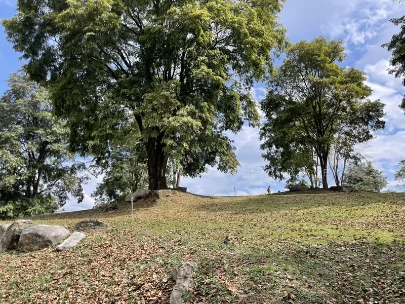 ขาย - Muaklek Prime Land for Sale ขายที่ดินวิวสวย ทำเลดีที่มวกเหล็ก, สระบุรี