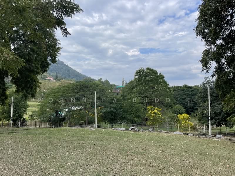 Muaklek Prime Land for Sale, Saraburi, Muak Lek, Muak Lek, Saraburi, , 1,072 sqm, Land For Sale, by Pornnipa Buddee, 500271085 - DDproperty.com