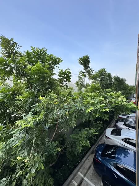 The Muve Paw Bangkhae, Bangkok, ซอยประสาน, Bang Kae Nua, Bang Khae, Bangkok, 1 Bedroom, 25 sqm, Condo For Sale, by Benjamas Petchsuwan, 500271163 - DDproperty.com