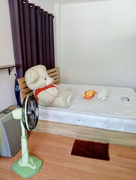 For Rent - The palm garden 6 (เดอะปาล์มการ์เด็น 6), Chiang Mai