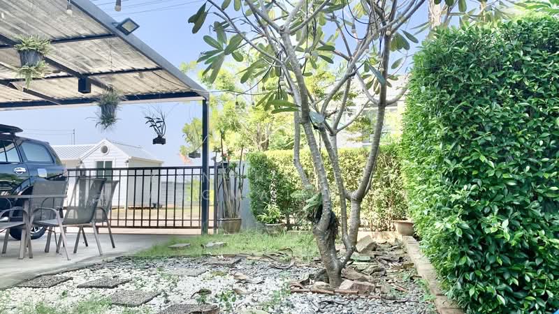 For Rent - The palm garden 6 (เดอะปาล์มการ์เด็น 6), Chiang Mai