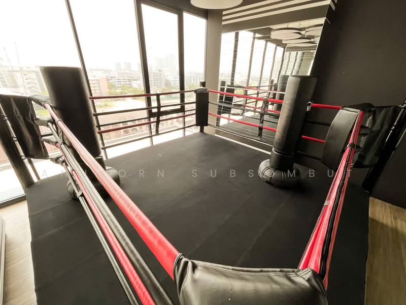 Niche Mono Ramkhamhaeng, Bangkok, Soi Ramkhamhaeg 36, Hua Mak, Bang Kapi, Bangkok, 1 Bedroom, 31 sqm, Condo For Rent, by Anusorn Subsombut, 500271181 - DDproperty.com